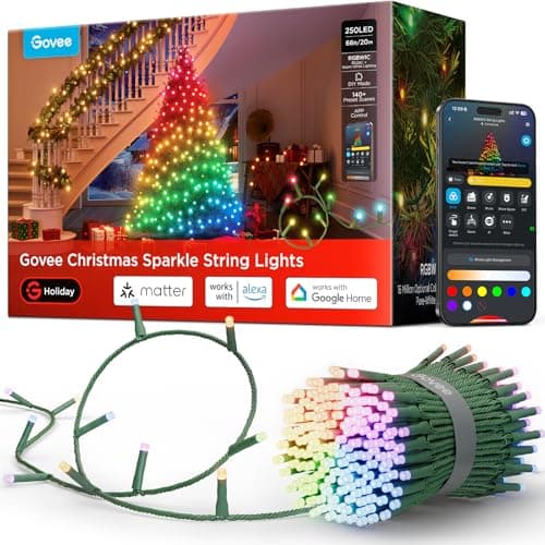 Govee Christmas Sparkle String Lights 66ft